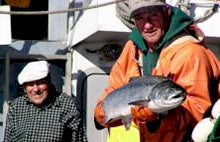 Wild Salmon Catch by John Constanti of Fairhaven Bay Seafoods